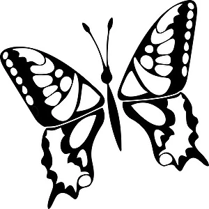 Naklejka Motyl 2